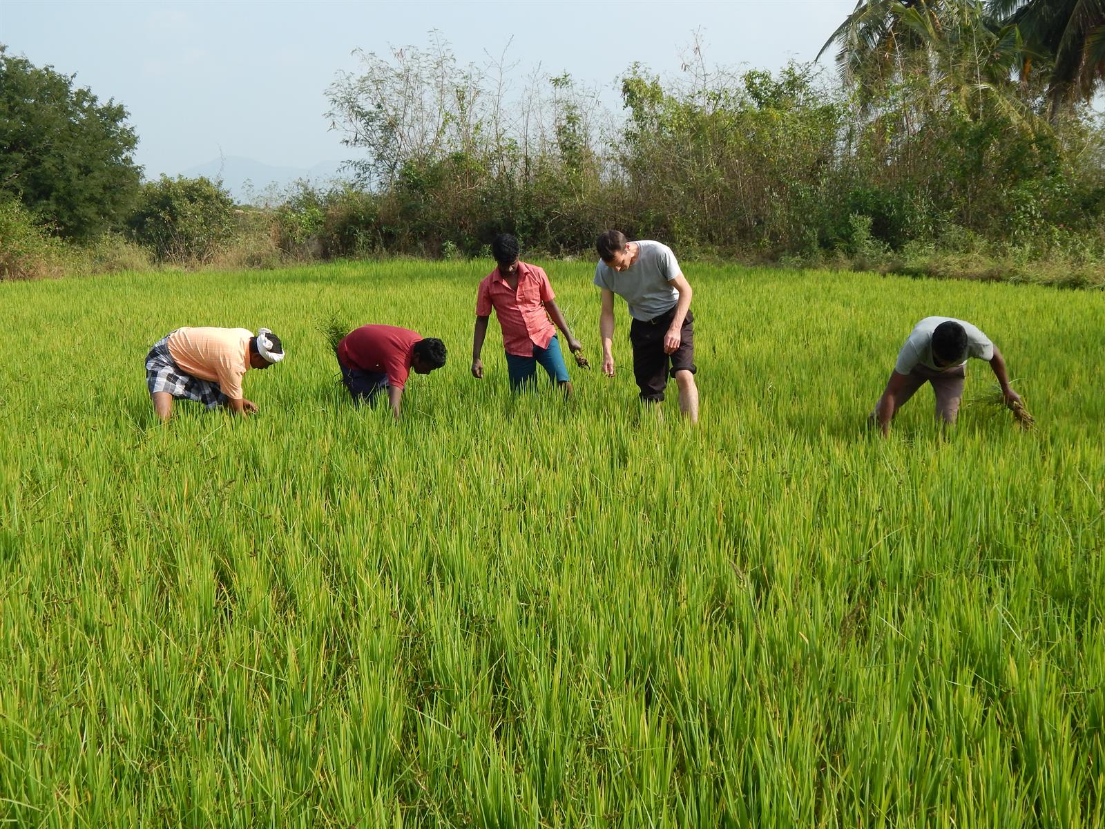 Practical Training 3